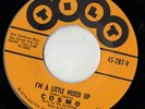 TILT rockabilly 45  COSMO & CARNATIONS - I'm A Little Mixed Up