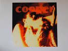 COOPER PRIVATE FRENCH PSYCH FOLK LONER POPSIKE LP 99 copies LISTEN