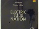 Plunky & Oneness of Juju - Electric Ju Ju Nation LP - Boogie Funk SEALED