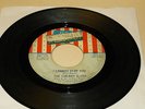 PSYCH GARAGE 45RPM RECORD - THE CHERRY SLUSH - USA 895