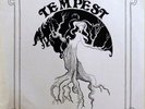 PRIVATE Hard Rock AOR Psych LP TEMPEST - Acid Archives