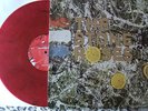 The Stone Roses RARE COLOURED MARBLE Vinyl Debut L.P. red/purple not pink/yellow