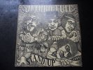 Jethro Tull, Stand up, vinal