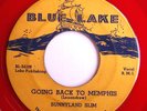 BLUES 45-SUNNYLAND SLIM-on BLUE LAKE-GOING BACK TO MEMPHIS /DEVIL IS A BUSY MAN