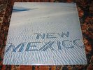 NEW MEXICO private modern soul boogie disco funk RARE listen