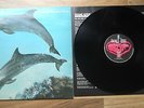 ORANGE JUICE YOU CAN'T HIDE YOUR LOVE FOREVER LP UK 82 nM INNER JOSEF K POSTCARD