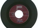 RARE 45 RPM, The Silhouettes, Junior Records # 391, VG+, Get A Job/I Am Lonely