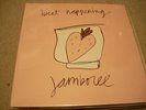 Beat Happening - Jamboree LP microphones nirvana sub pop wipers calvin johnson