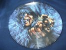 Warlock Picture LP (Top Zustand) Selten Triumph and Agony