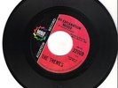 N.SOUL -THE THEMES -NO EXPLANATION NEEDED/ BENT OUT SHAPE -MINIT  -HEAR