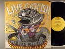 Catfish Hodge  Live Catfish
