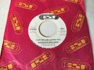 ANDERSON BROTHERS I Can See Him Loving You GSF NORTHERN SOUL VG++/M- ORIGINAL
