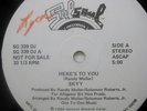 SKYY- HERES TO YOU-PROMO SALSOUL SG 339 DJ-DISCO FUNK SOUL BOOGIE 12
