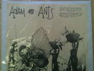 ADAM AND THE ANTS LIVE - 1981 - CREATIVE ARTISTRY