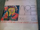 SAN UL LIM 2 Korean Heavy Psych Rock Fuzz Breaks Funk Loops LSD Trippy Hear