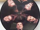 DISMEMBER - PIECES - PICTURE DISC - MINT