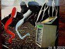 LP - NINE DAYS WONDER: 