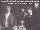 60'S ROCK 45 RPM - THE STANDELLS on TOWER RECORDS W/ PIC. SLEEVE