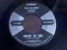 Rare Stereo Doo wop   The Falcons   You're so fine  B/W  Goddess of angels