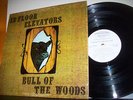 The 13th Floor Elevators  