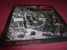 MERCILESS the awakening ORIG Vinyl LP on DSP from 1989  private thrash metal
