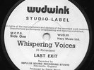 LAST EXIT STING POLICE Whispering Voices b/w Evensong Wudwink Studio Label 01 NM