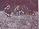 LED ZEPPELIN 