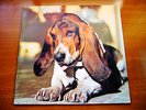 DUFFY Just In Case You're I. UK HEAVY PROG- GERMAN ORIG 1974 LP UNRELEASED IN UK