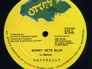 Naturally - Sunny Gets Blue JA orig 12