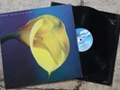 Swans - The Burning World LP / Album