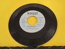 VHTF Terry & Pirates Valli 100 ROCKABILLY What Did He Say/Talk About The Girl