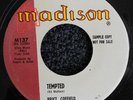 Brice Coefield PROMO northern PopCorN 45 MADISON 137 tempted/cha cha twist NR