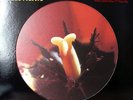Nirvana - In Bloom (12