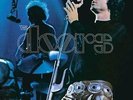 DOORS Absolutely Live Deluxe 2x180G Vinyl LP NEW & SEALED
