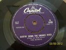 THE HONEYS Surfin' Down The Swanee River 1963  VERY RARE