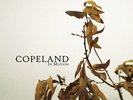 COPELAND IN MOTION BROWN / WHITE WAX FIRST PRESS AFS /200 COPIES NM