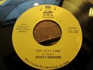 Northern Deep Soul 45 RICKEY ANDREWS next time RWA hear