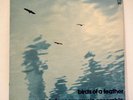 SPONTANEOUS MUSIC ENSEMBLE LP Birds of a Feather 1971 BYG rare John Stevens