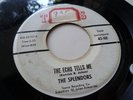 THE SPLENDORS RARE DOO WOP ON TAURAUS LABEL 45-101 THE ECHO TELLS ME HEAR