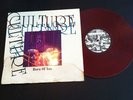 CULTURE BORN OF YOU MORNING AGAIN POISON THE WELL SXE VEGAN CHOKEHOLD SNAPCASE