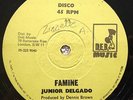 JUNIOR DELGADO Famine on D.E.B. MUSIC ** roots 12
