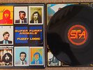 Super Furry Animals Fuzzy Logic LP (Rare Item)