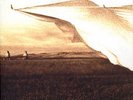 Neil Young, Prairie Wind 2LP Test Pressing SS