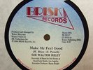 SIR WALTER RILEY / MAKE ME FEEL GOOD / OBSCURE UNKNOWN MODERN SOUL BOOGIE 12