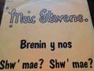 MEIC STEVENS shw mae? shw mae? FUNK WELSH PSYCH BEAT FRENCH ONLY 45