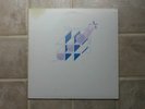 Mazeville Crossing with Scott Bruning private press folk rock lp
