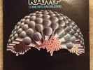 RARE SOUL FUNK* RAMP* BLUE THUMB* OG PRESS