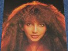 KATE BUSH The Single File SCARCE 13 Record UK Box Set.