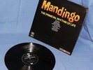 MANDINGO   THE PRIMEVAL RHYTHM OF LIFE. afro-funk beats / psych-library. 1973
