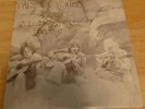 THE GREAT BALLS OF STRING BAND LP PART OF YOURS RURAL FOLK PSYCH PRIVATE PRESS